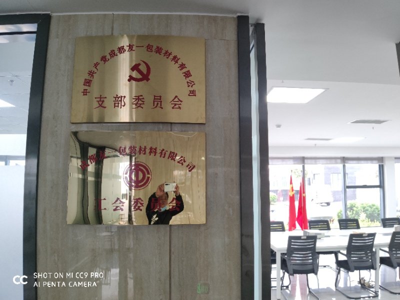 热烈祝贺银娱优越会717集团成都分公司党支部在2020年3月11日授牌成立，支部书记曹云(行政部经理)